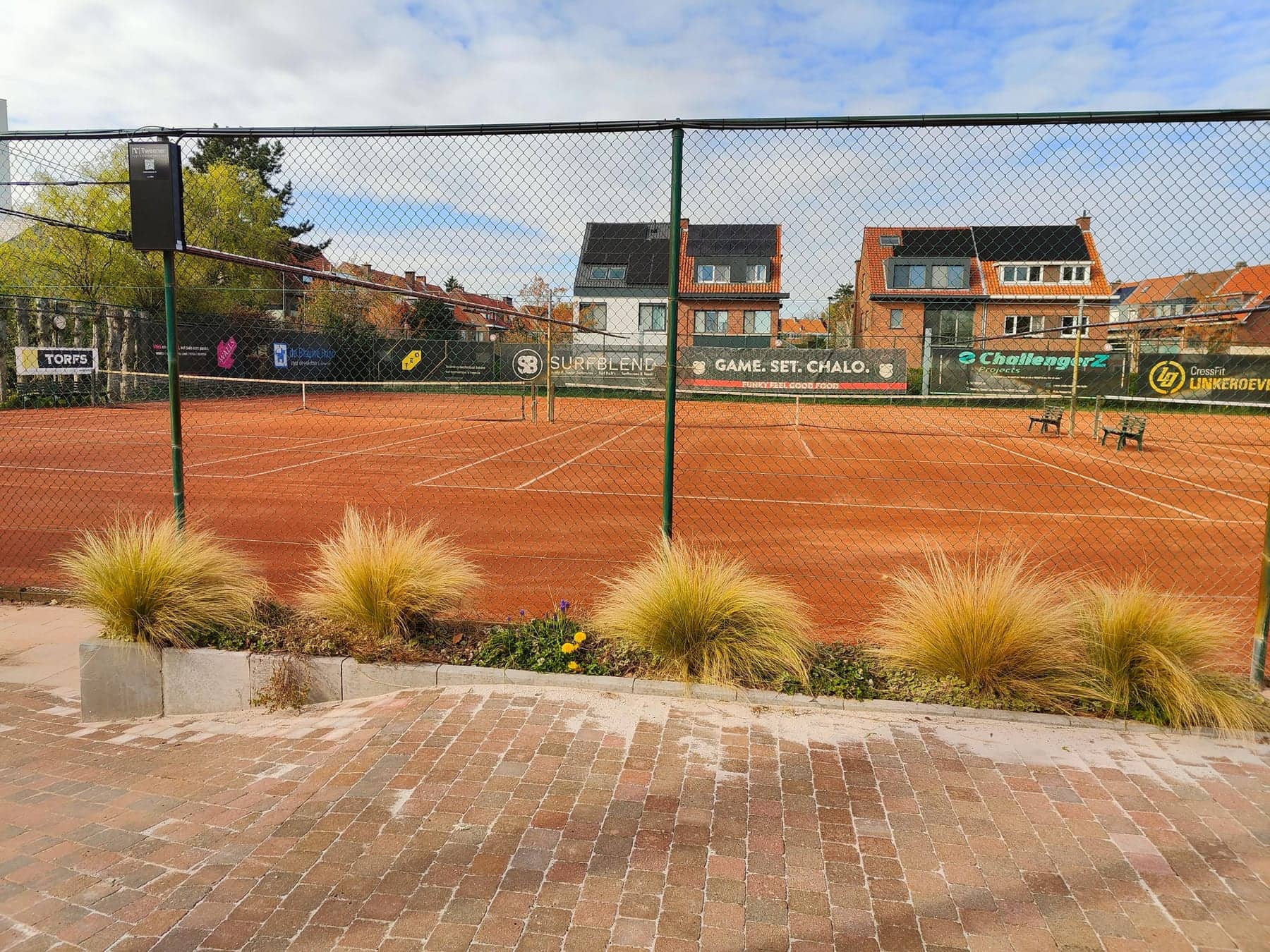 Zicht vanaf het terras op een gravelterrein, met siergrassen in de plantvakken